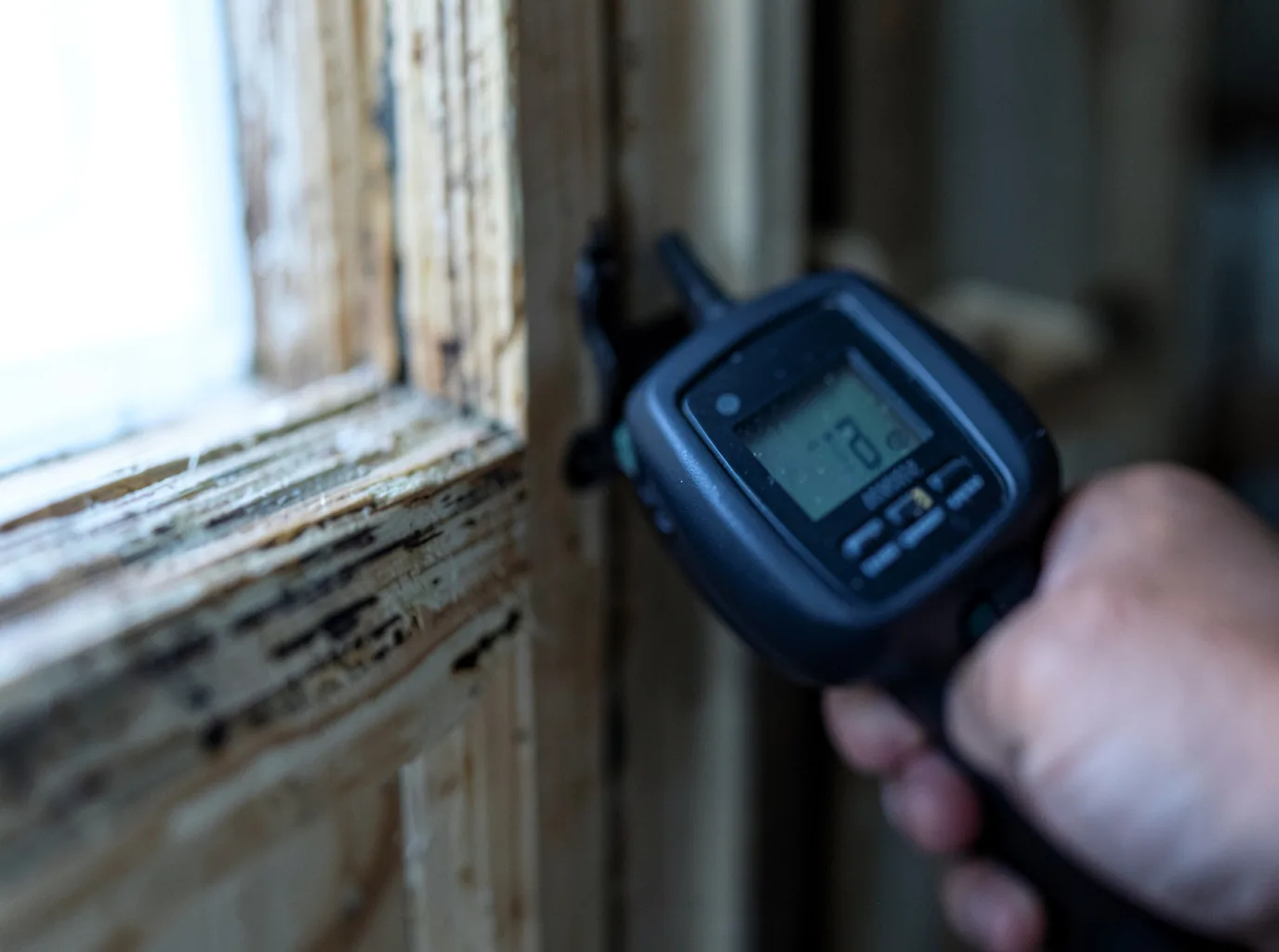 Moisture Inspection And Documentation in Cave Creek, AZ
